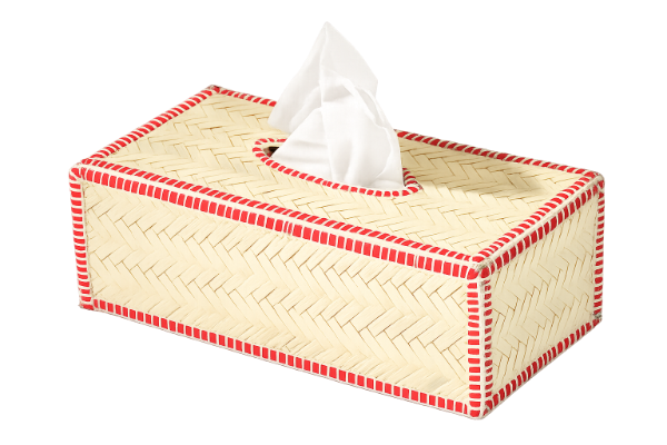 converted_image (59).png